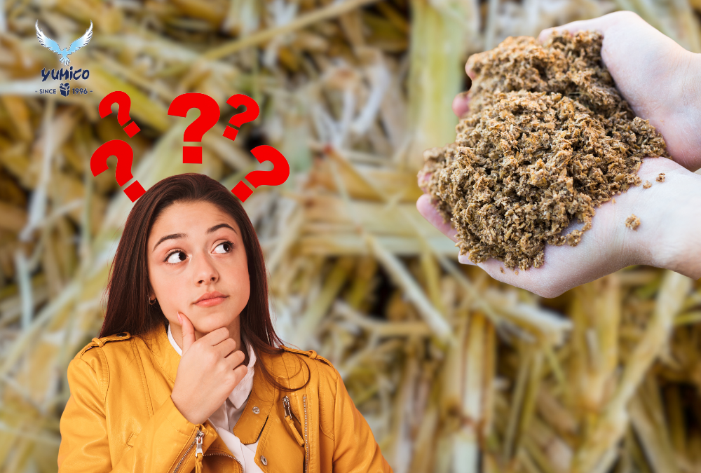Apa itu Bagasse?