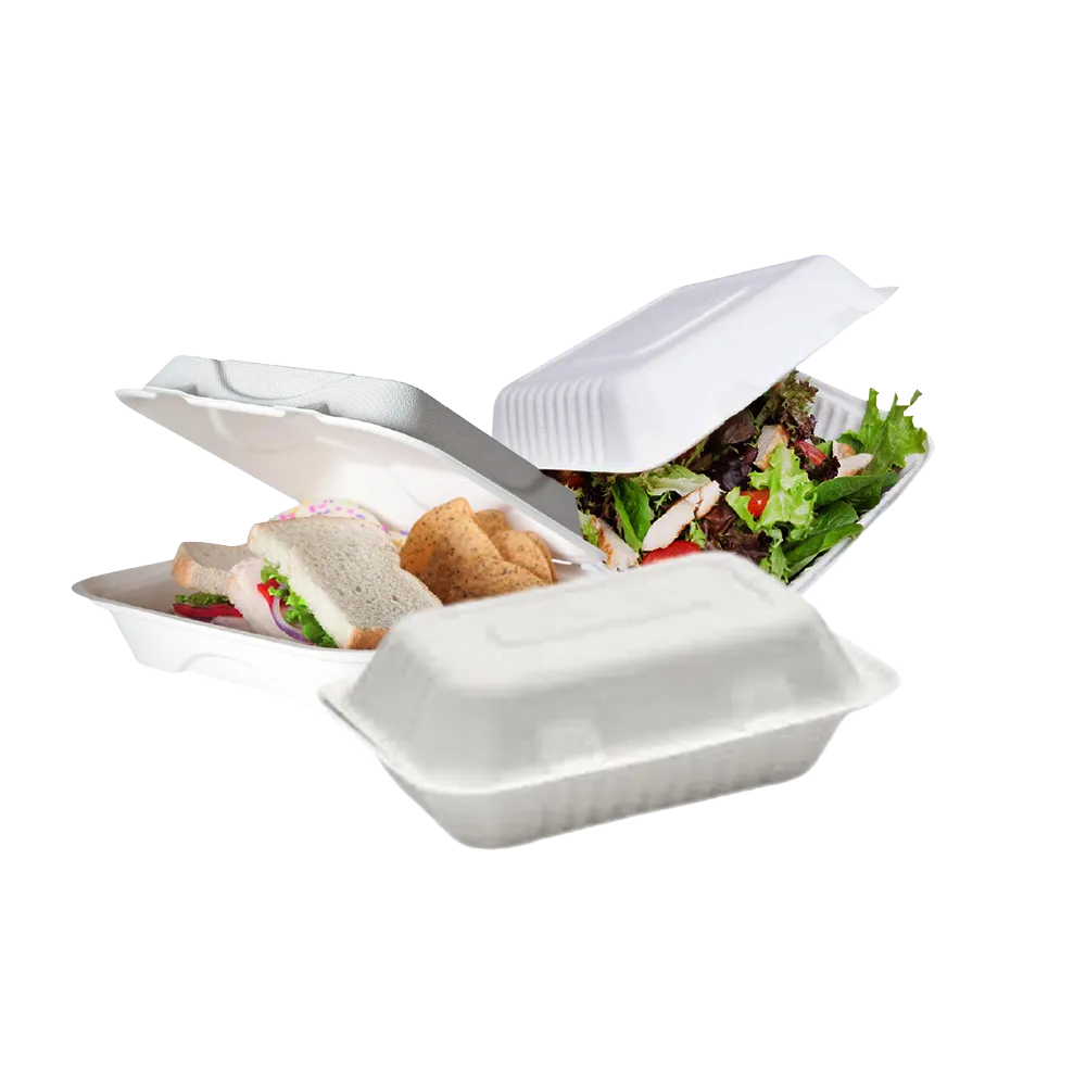 Bagasse Lunchbox Paper Bag White