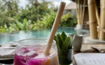 Cassava Straw Supplier Bali | Eco-Friendly Cafe Supplies