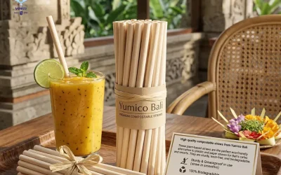 Best Compostable Straws in Bali: Strong & Eco-Friendly