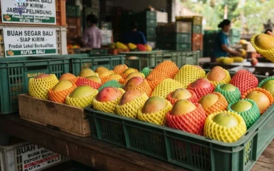 Jaring Polynet Buah Praktis Terbaik di Bali | Yumico