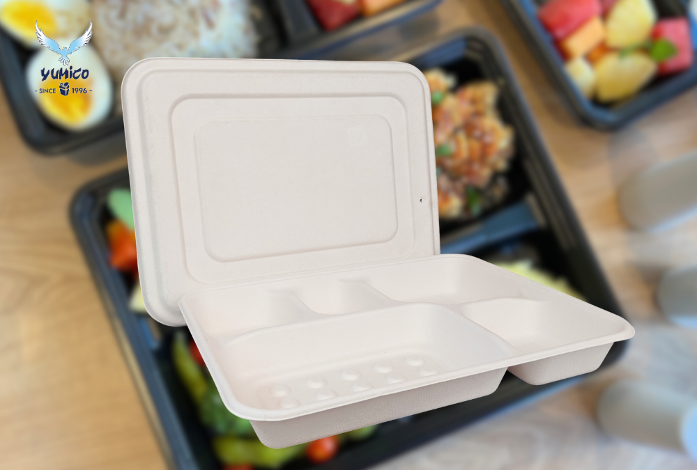 Pesan Lunch Box Bagasse Bali