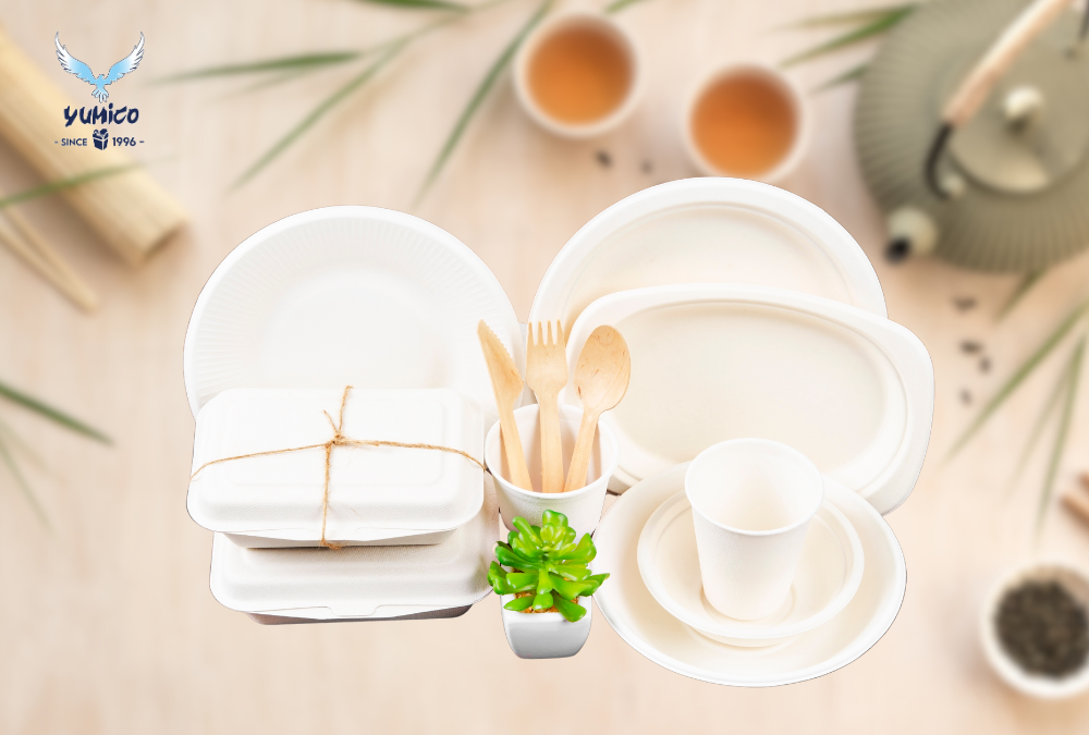 Macam-Macam Produk Bagasse