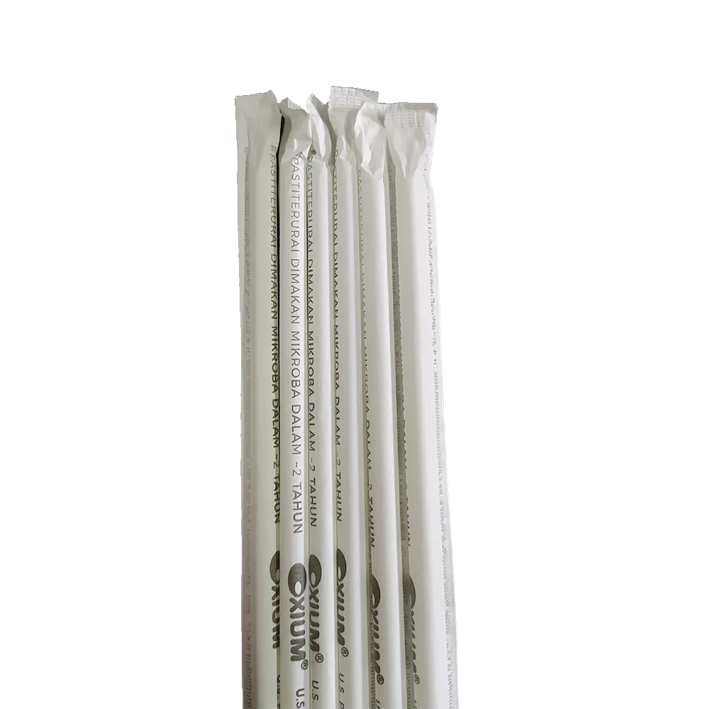 Paper Bag White