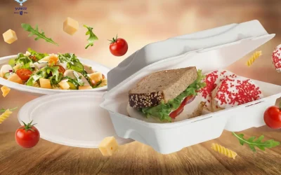 Bagasse Adalah Kemasan Tebu: Solusi Eco Pengganti Styrofoam
